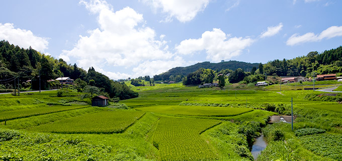 Iwami Ginzan