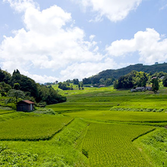 Iwami Ginzan 2