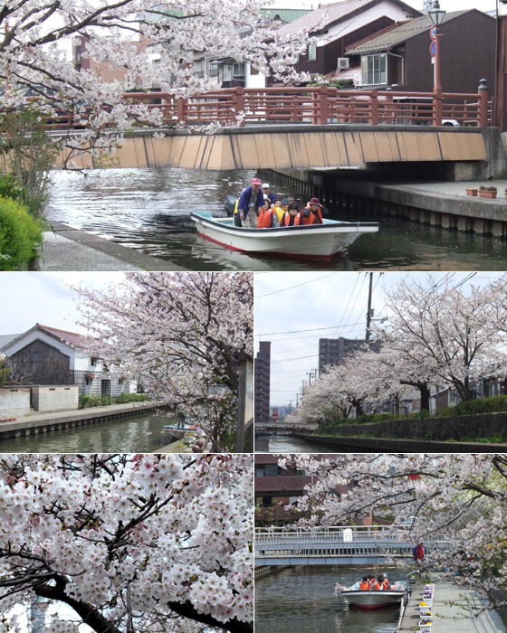 Kamogawa Nakaumi cruise ship "Sakura"