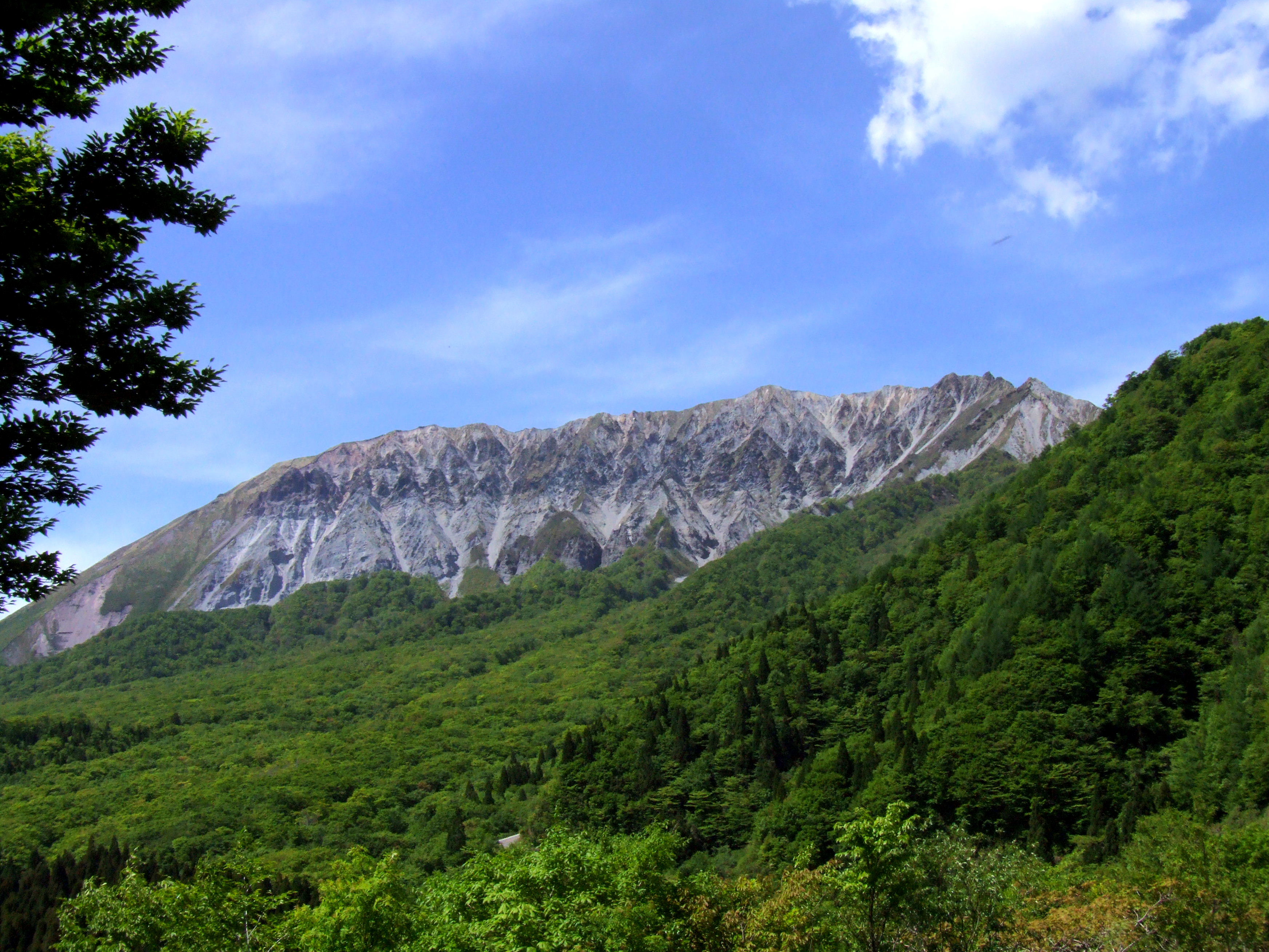 新緑の大山4