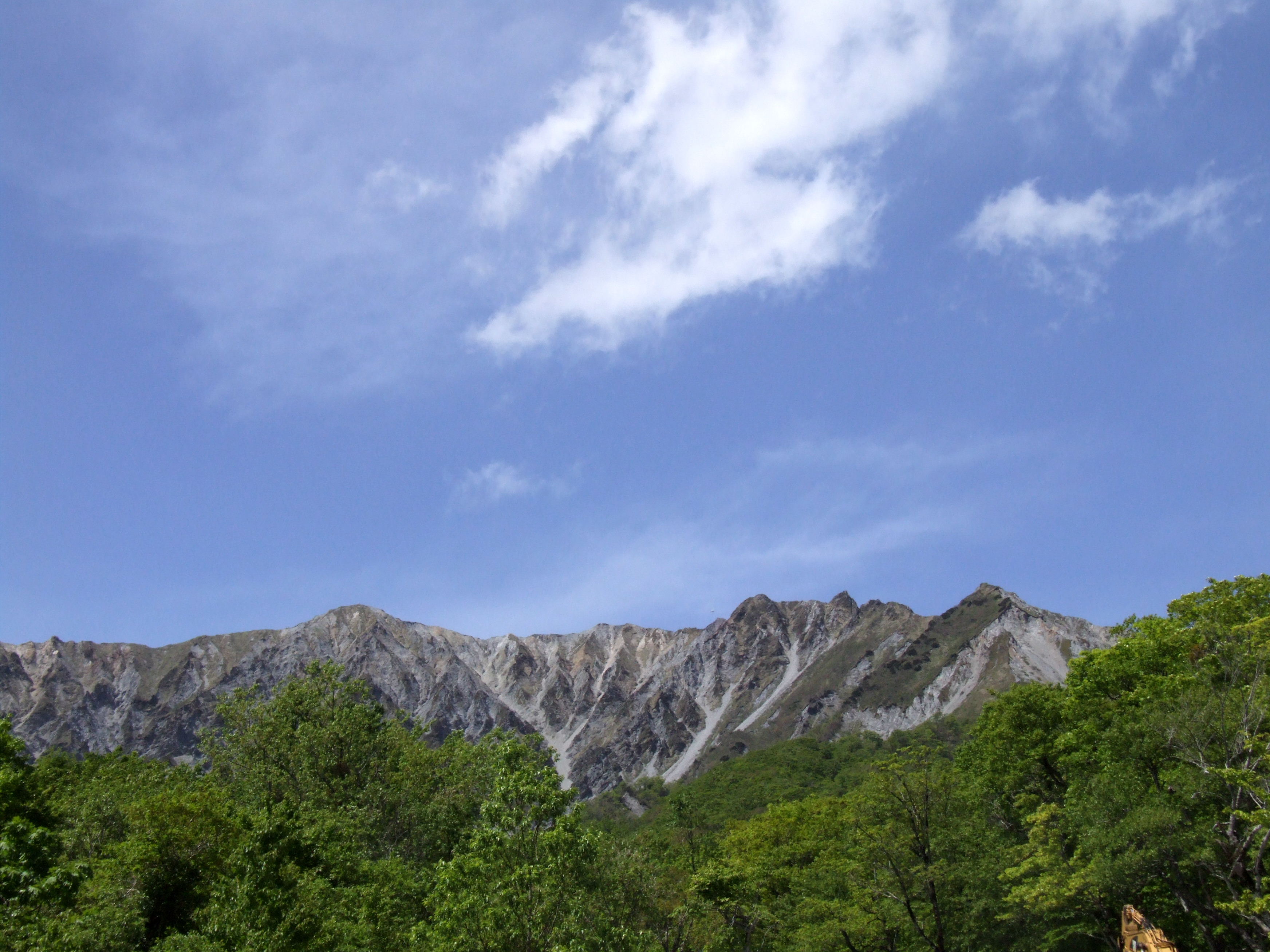 新緑の大山5