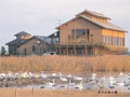 Yonago Waterbird Park