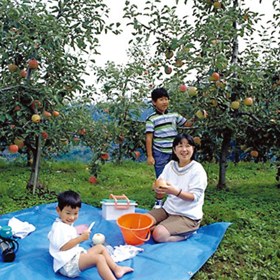 [Daisen] _icon apple orchards