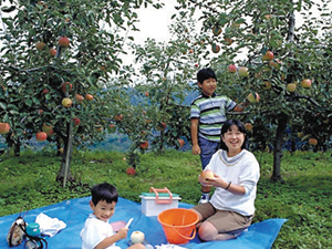 [Daisen] _1 apple orchards