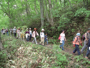 _1 Ooyama Ooyama & White Green Walk Walk