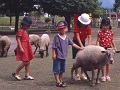 Yonago - Daisen - Tom Sawyer Ranch _icon