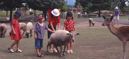 Yonago - Daisen - Tom Sawyer Ranch _1