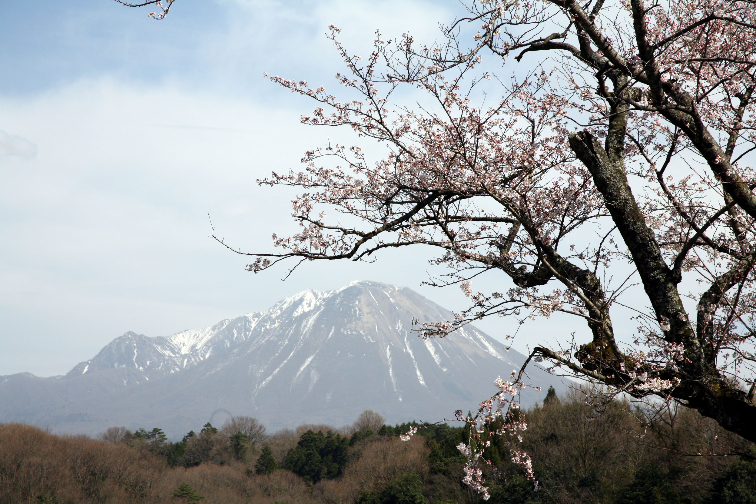 Daisen (1 Shigeru Oka)