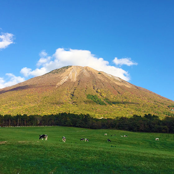 Featured Photos of the fresh _icon Daisen