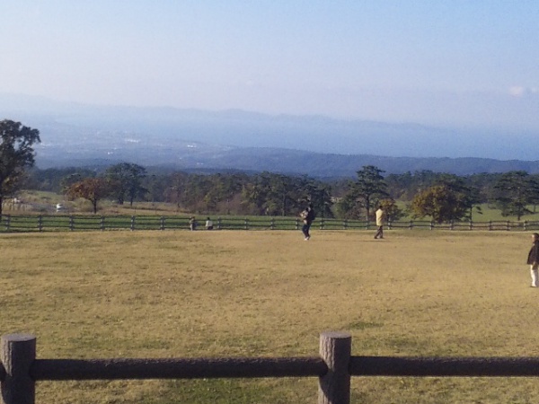 Milk from the Village (Sea of Japan)