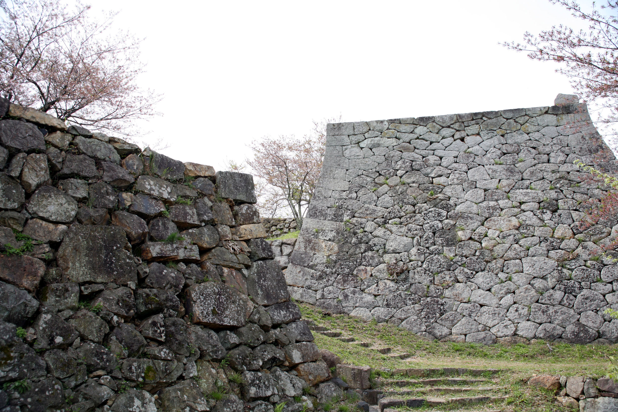 Yonago Castle (April) 4