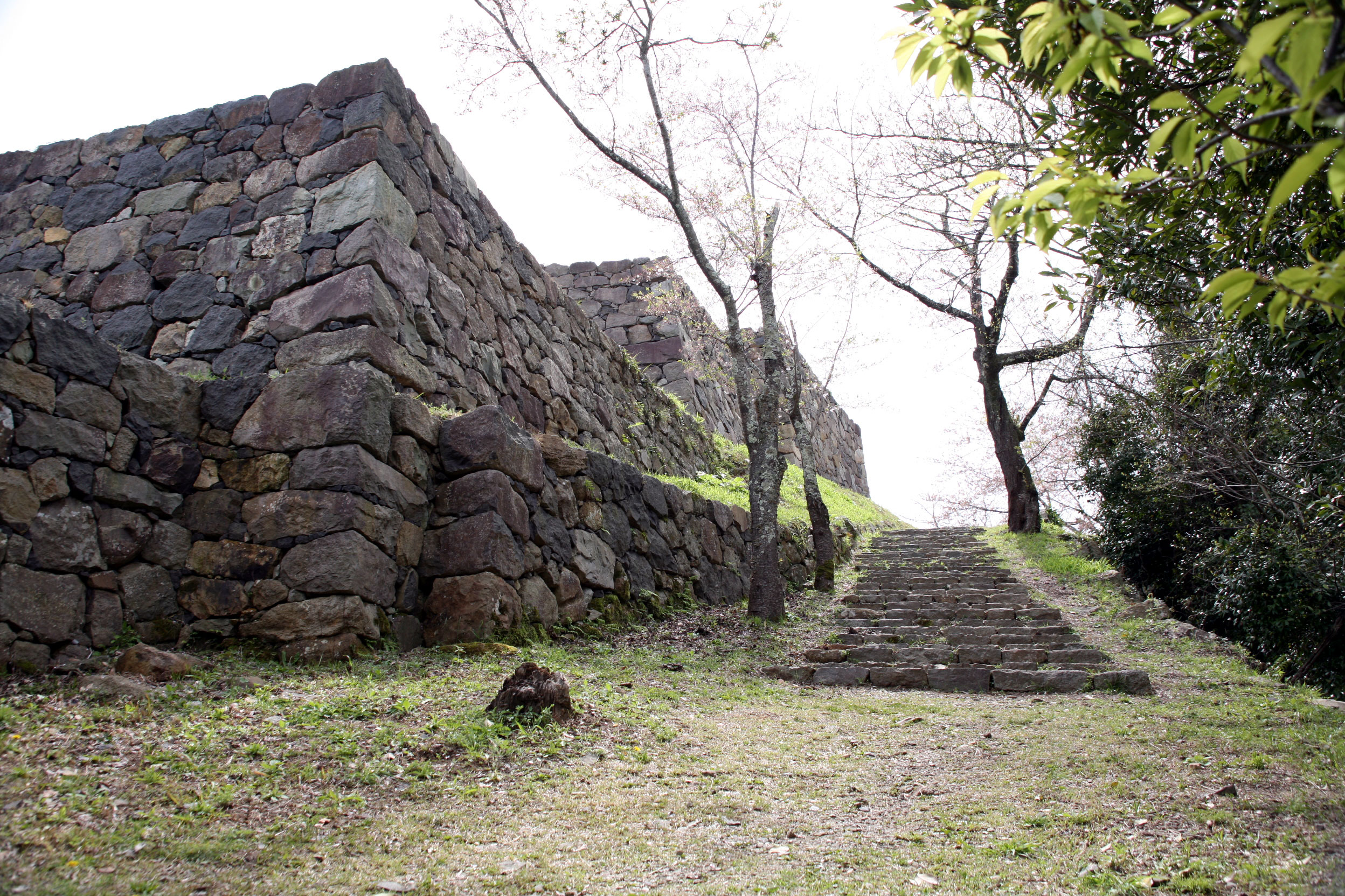 Yonago Castle (April 5)