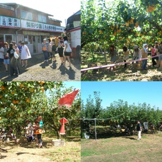 Daisen Tourist Farm