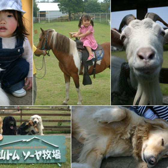 Tom Sawyer Ranch Daisen