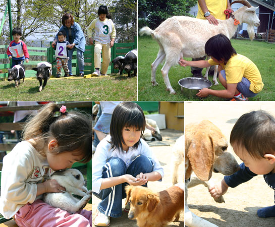 Tom Sawyer Ranch _2 Daisen