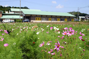 Hakuho Village _4