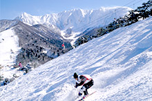 Ski resort