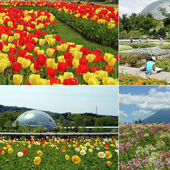 Flowers Tottori _icon Corridor