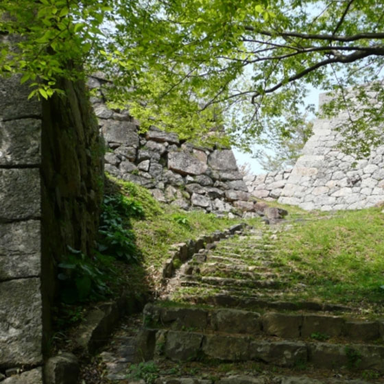 Yonago Castle _icon