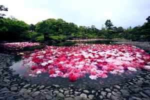 由志園