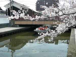 加茂川遊覧船