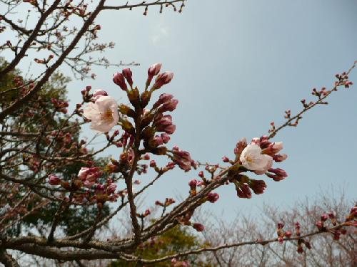 4月5日