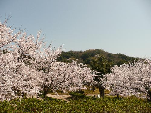 4月6日（木）2