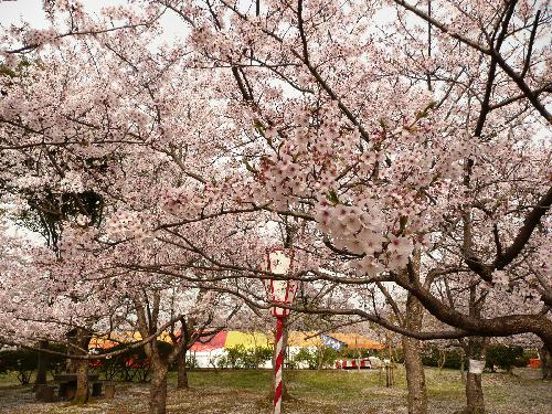 4月13日（金）2