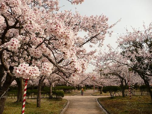 4月13日（金）3