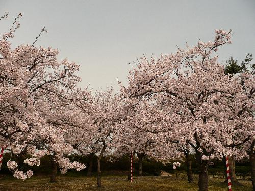 4月12日（金）3