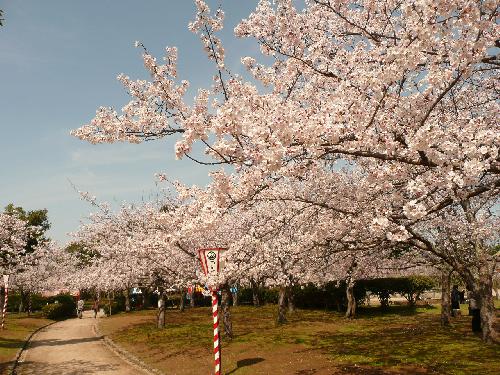 4月4日（木）現在2