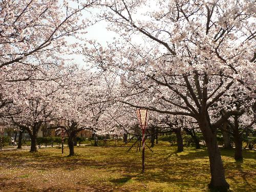 4月4日（木）現在4