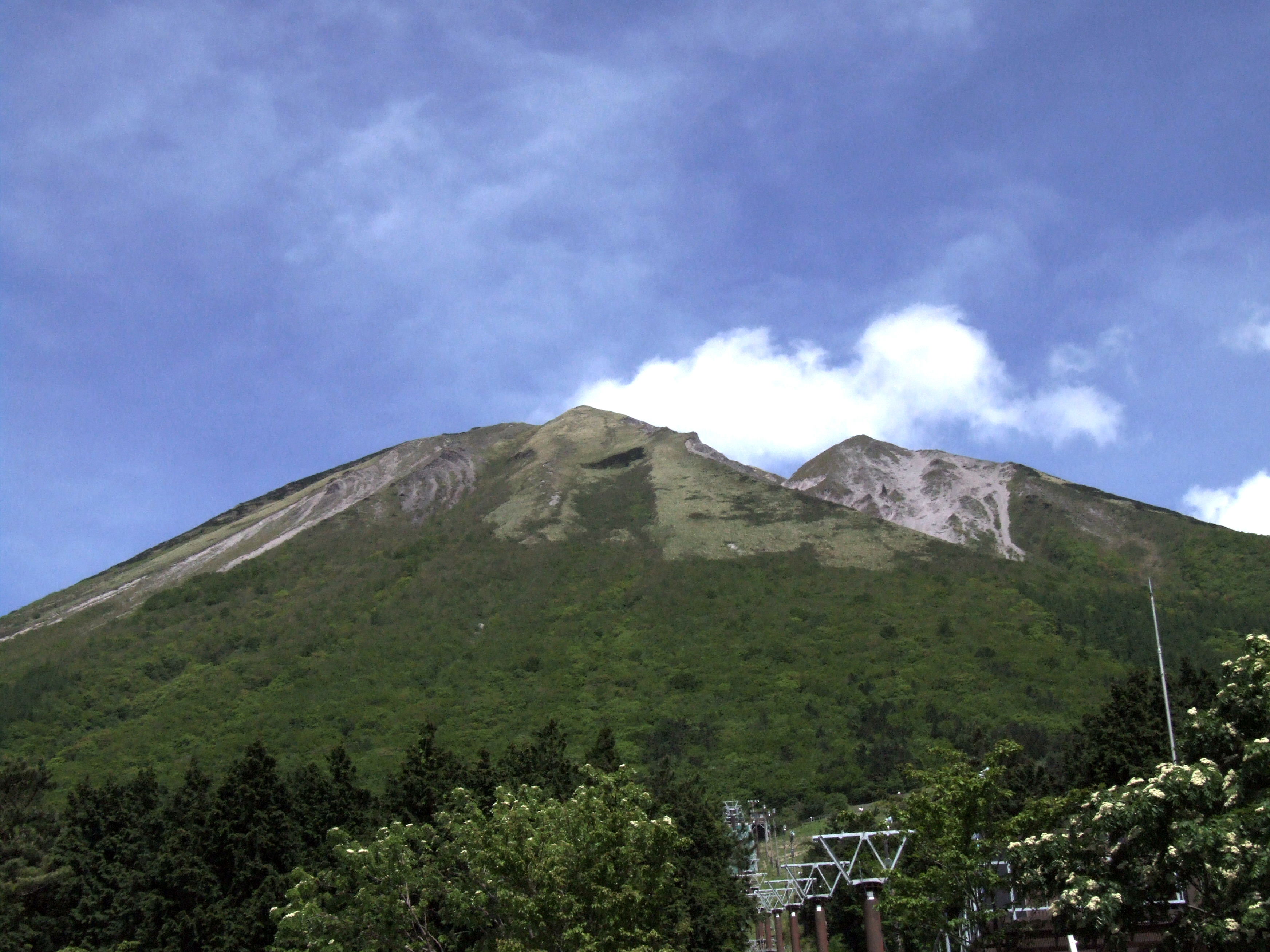 新緑の大山6