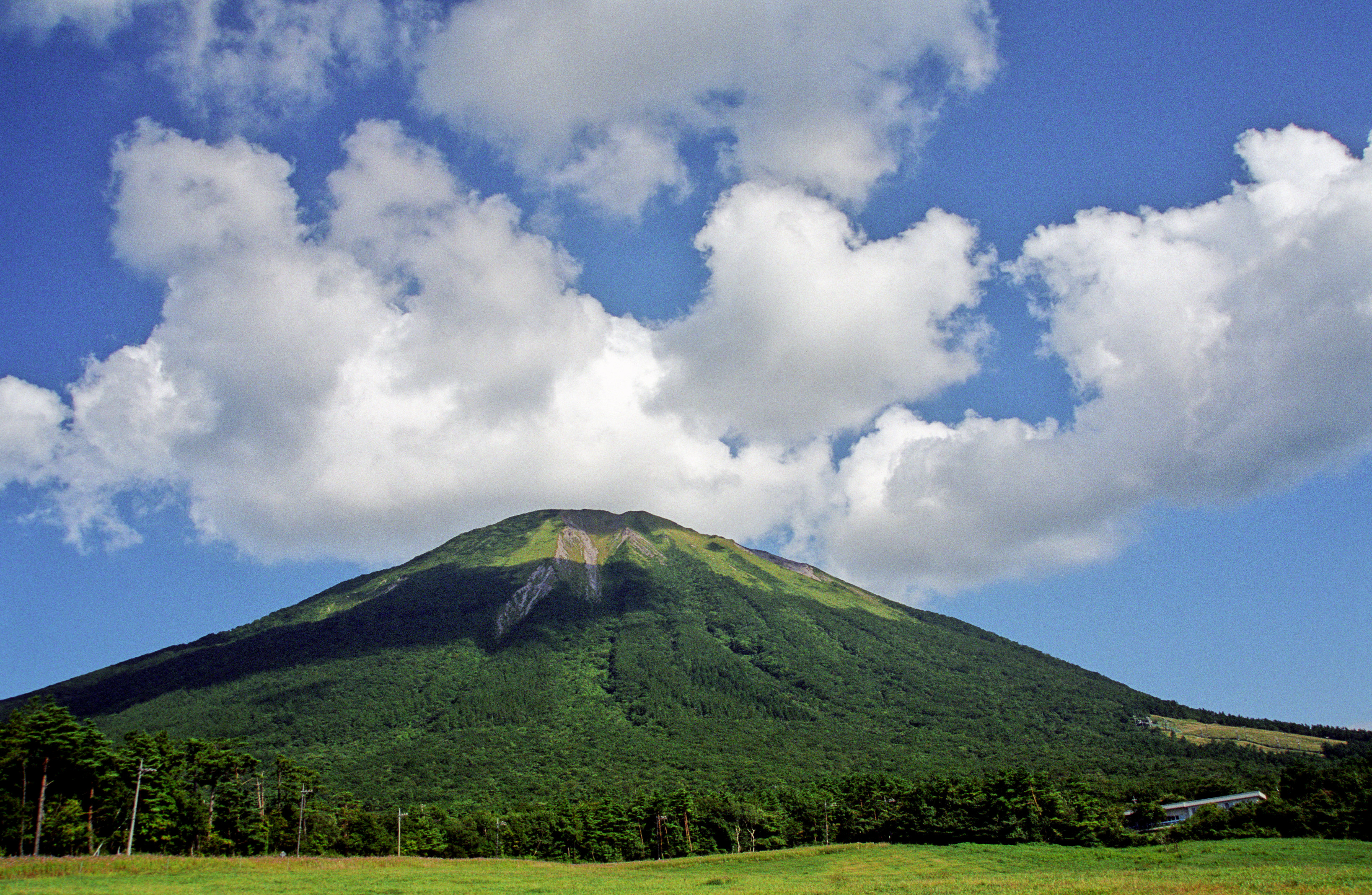 新緑の大山10