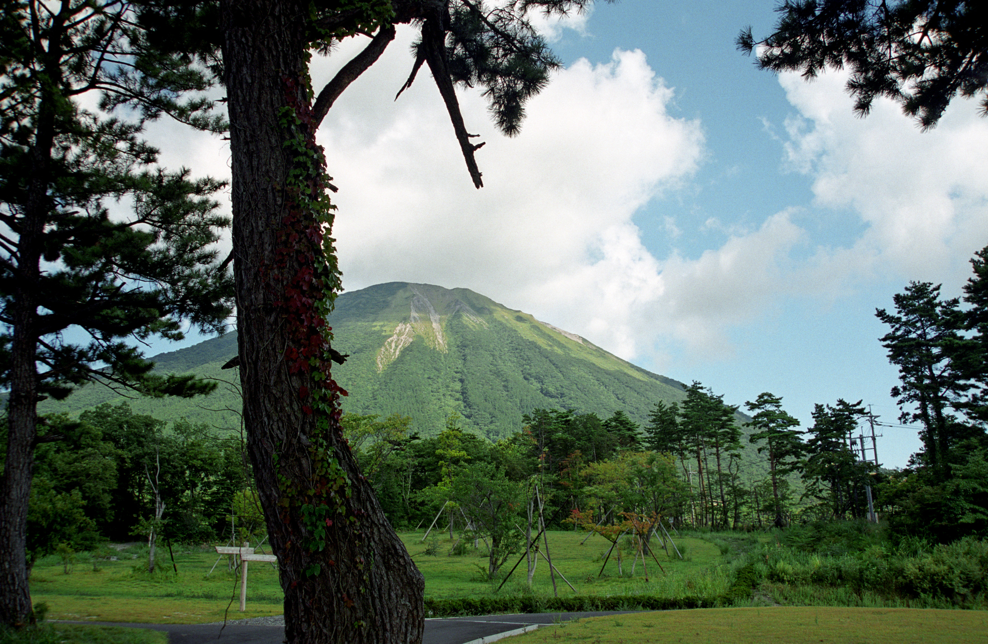 新緑の大山11