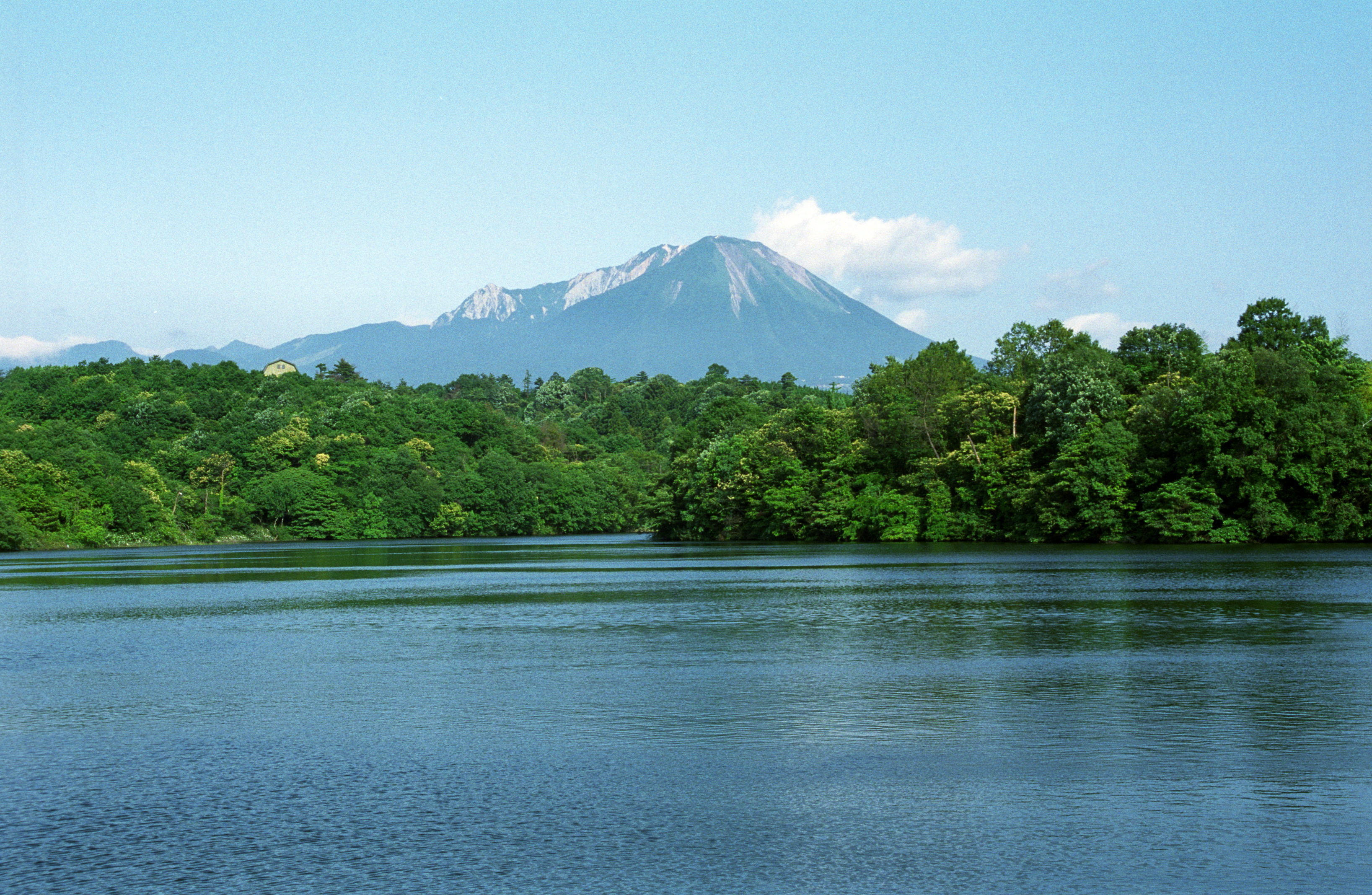 新緑の大山12