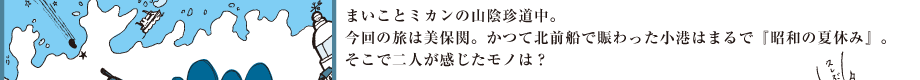 山阴不平凡的历程的橙色和舞妓