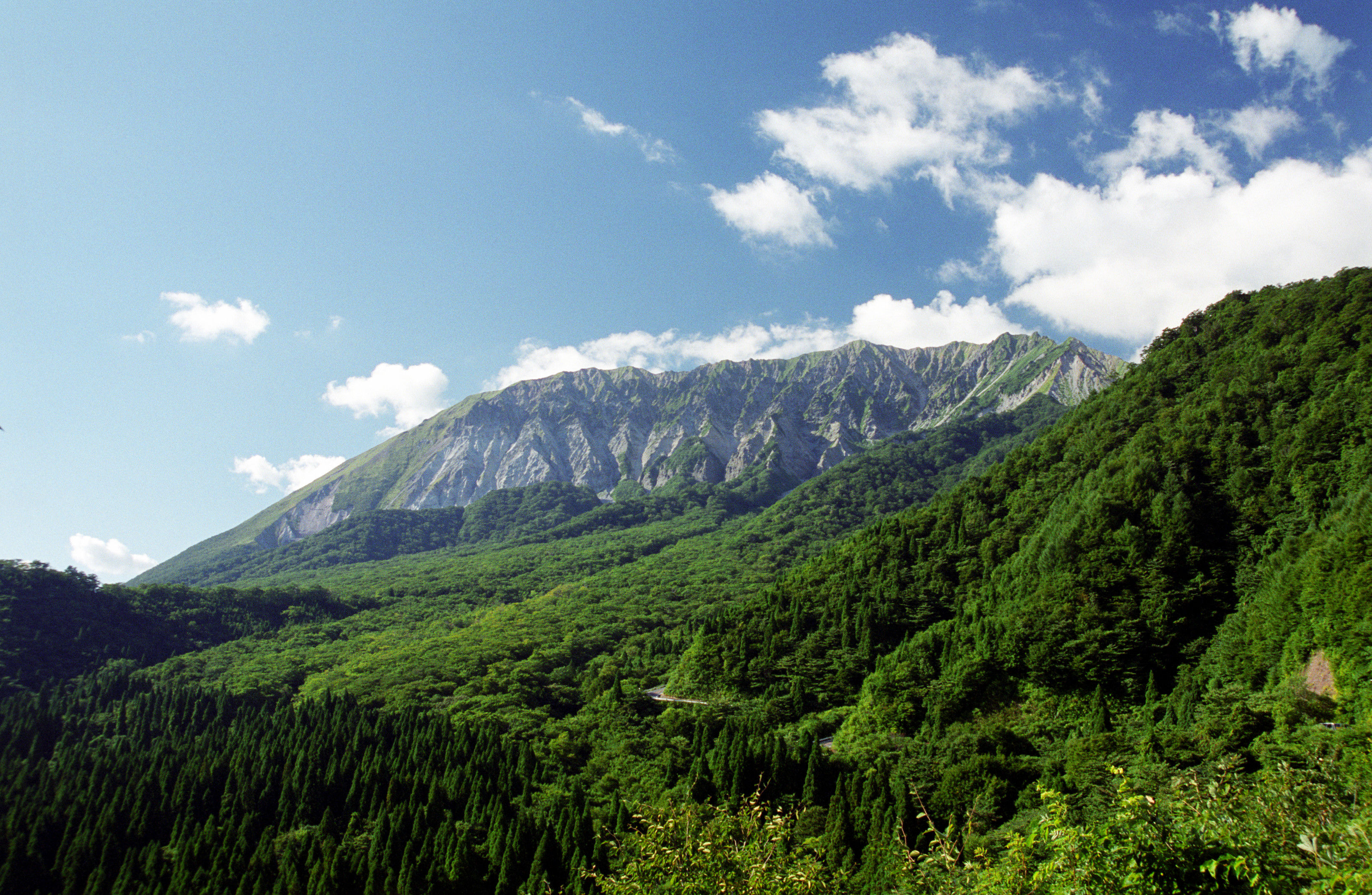 新緑の大山7