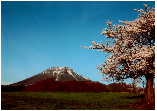 米子市中心的旅游指南“马苏聪武山”_13画廊