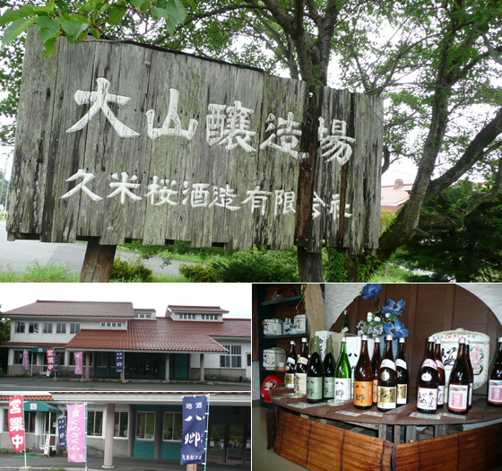 啤酒厂之旅（酒厂久米樱）_1